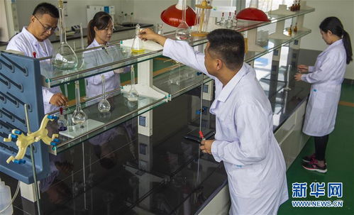 河北枣强 工业设计为产业转型升级注入新动能